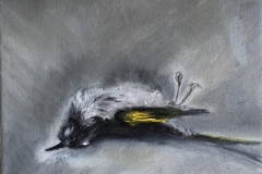 "Death of a Honeyeater" - 2018, oil on canvas