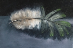 "Feather study" - 2018, oil on canvas