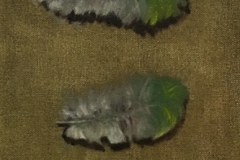 "Feathers" - 2018, oil on canvas